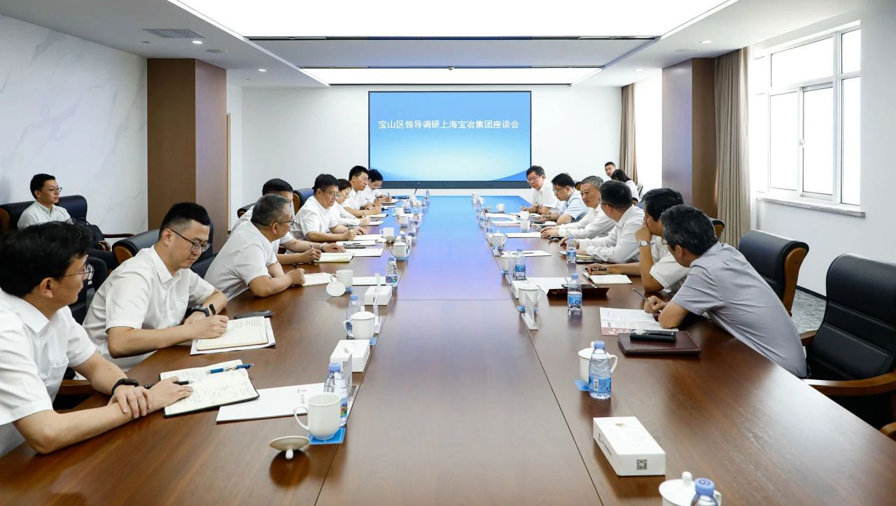 宝山区委书记李晨昊一行调研永利集团yl6809官网